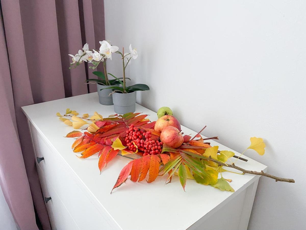 Apartament Old Town Dluga غدانسك المظهر الخارجي الصورة
